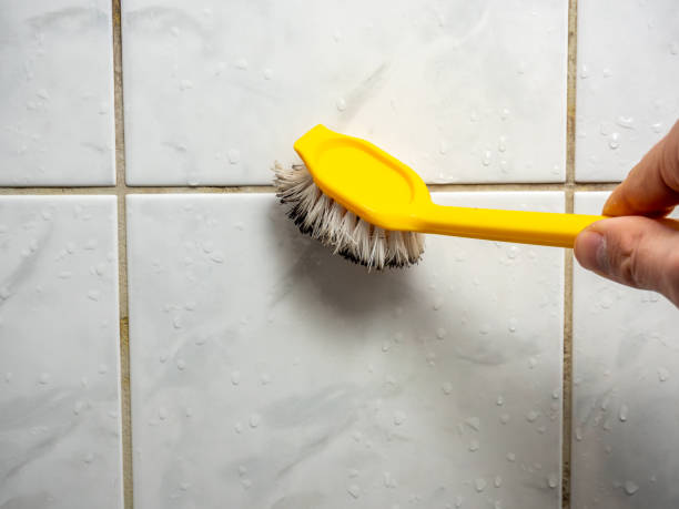 Best Mold Testing  in Muskegon Heights, MI