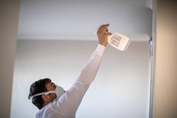 Professional Mold Removal in Muskegon Heights, MI