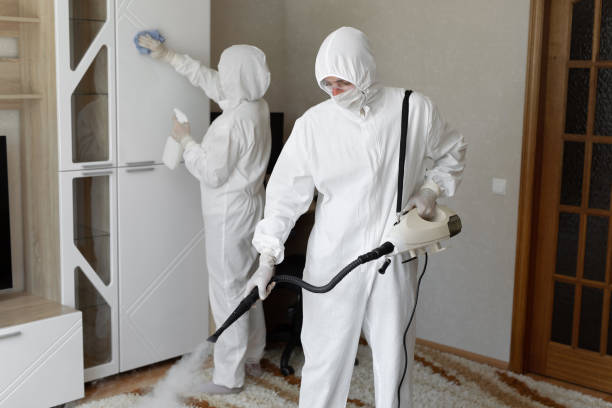 Best Local Mold Removal Service  in Muskegon Heights, MI