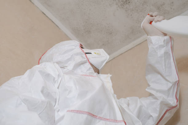 Best Mold Cleaning Services  in Muskegon Heights, MI